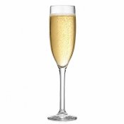 Champagneglas San-plast 20 cl