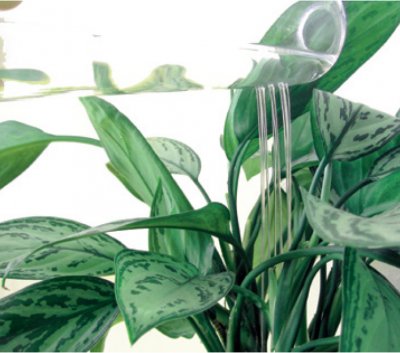 RainMan vinkaraff Skruf